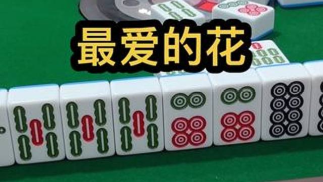 最爱的花#jj麻将 #小麻将解心宽 #去打麻将的路上风都是甜的