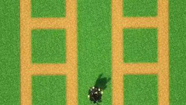 #Minecraft #我的世界 #方块怪盗追捕行动 #我的世界撸树计划