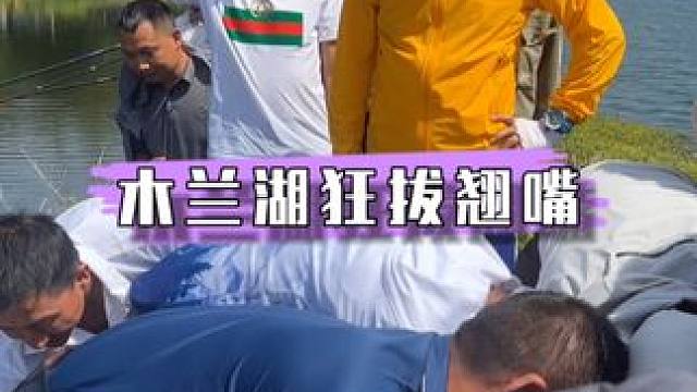 木兰湖黑坑水库盘老板，花500快钱狂拔300斤翘嘴。#天元钓技大武台