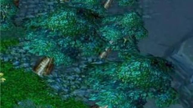 （三）大熊臻享版，8分钟超神先知