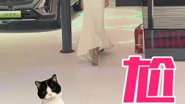 看我俩谁跳的好 #周末去哪儿 #2024青岛车展