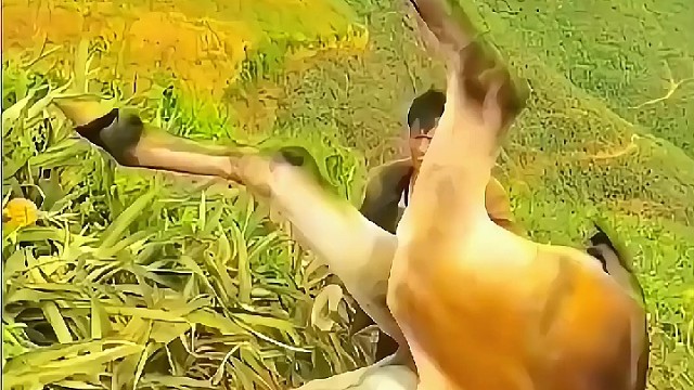 狠心主人