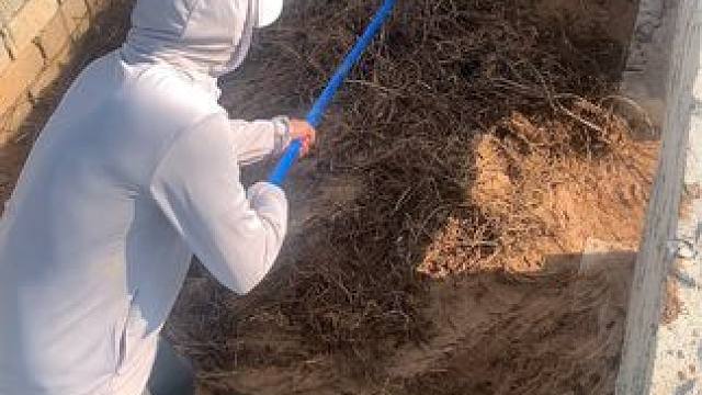 鳄鱼vip包间进来就不想出去