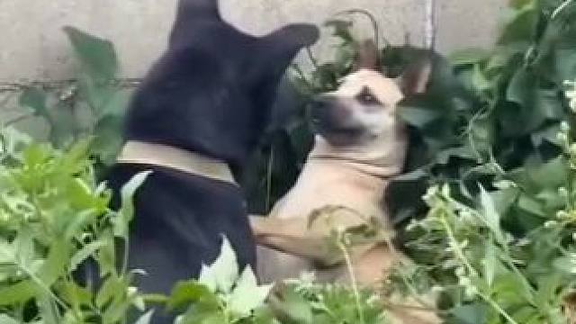 既然气氛烘托到这了  那咱两…… 