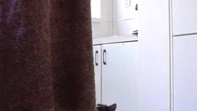 上啃老 下啃猫 我得靠猫养活我#日常vlog#鲜朗 #鲜朗猫粮