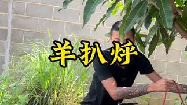 羊扒烀#新农人计划2024#回村后的我 #农村生活