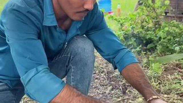 毛哥夫妇 #农村美食 #家乡特色美食