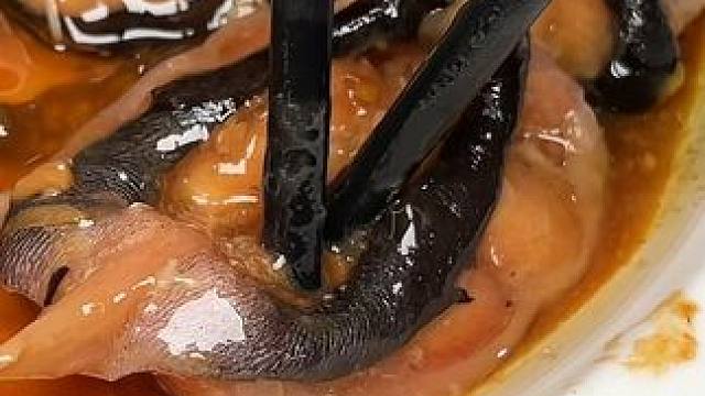 泉州闽南美食 列入我泉州必吃清单爱吃海鲜的一定要试试！便宜量大且好吃#泉州美食 #谁懂这一口的好吃程