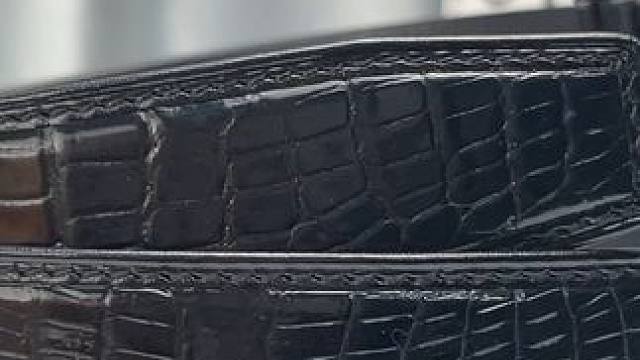 我们珍视每一个细节，每一条皮带都是对完美的追求。 #鳄鱼 #鳄鱼养殖场 #鳄珍 #奢侈品