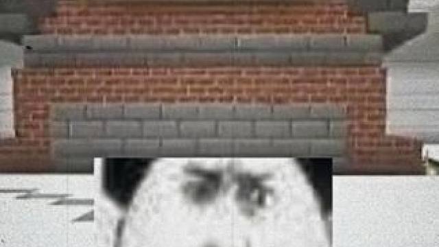 #我的世界 #夏天y #主播 #游戏流量风向标 “等等！我盖个房？”