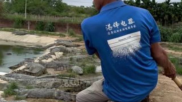 新来的安保大哥，三星上将麦克啊龙