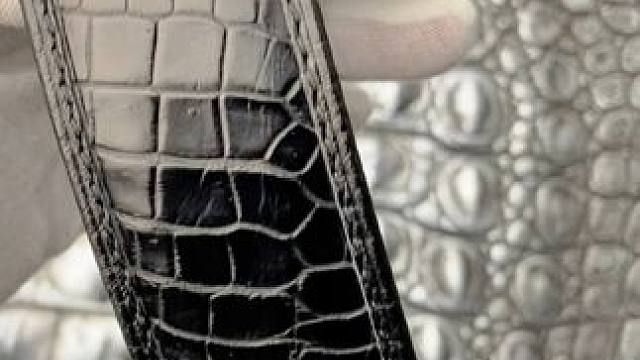 奢华皮带，时尚新选择#鳄鱼 #鳄珍 #皮带