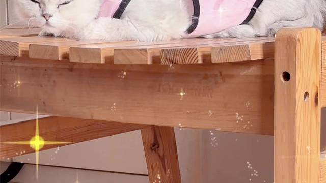 我就说感觉有人偷看我睡觉～