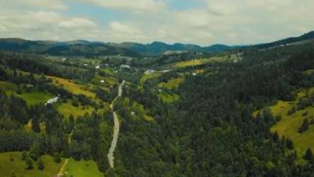 #番茄畅听       #番茄畅听        #番茄畅听