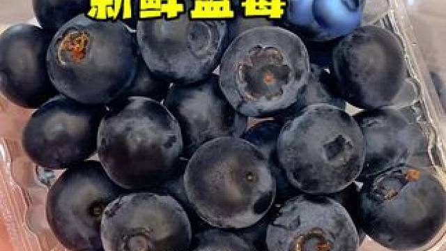 品质特别棒的蓝莓现在好划算！！！脆甜大颗特饱满满满的花青素太喜欢啦#蓝莓 #花青素 #酸甜可口 #水