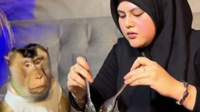 印尼打工猴和主人一起吃面 #国外视频分享 #猴子成精 #打工猴