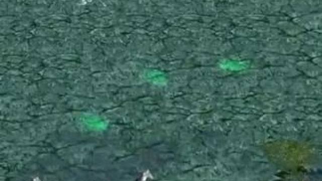 （三）大熊臻享版，剑圣