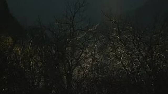 268！#黑神话悟空