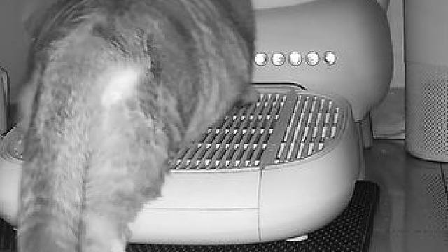 我们今天换了新的储粮桶啦 