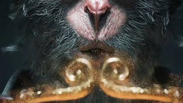 我们也该有自己的超级英雄了#黑神话悟空