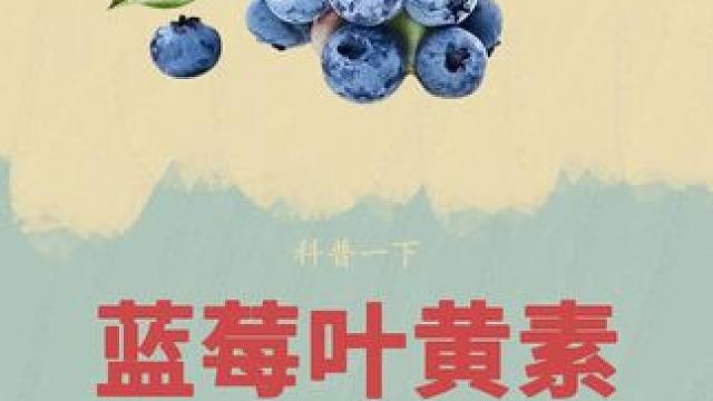 这样好吃的蓝莓叶黄素软糖你爱了吗？#叶黄素软糖 #叶黄素 #糖果 #科普 #涨知识