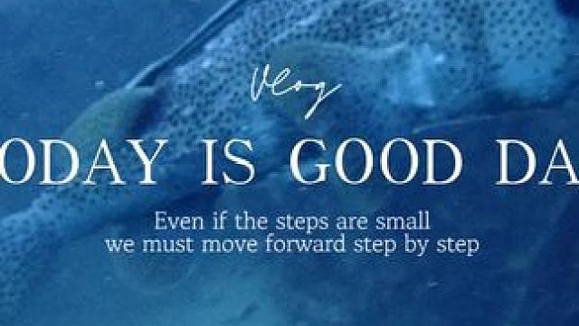 #泰国涛岛 #潜水 #Crystal水晶潜水