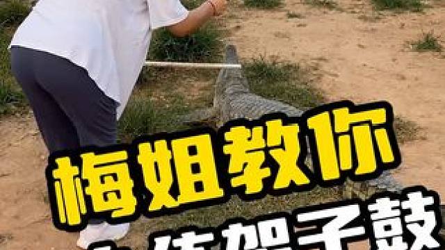 鳄鱼看到梅姐来练架子鼓都跑了 #鳄鱼 #鳄鱼养殖场 #养殖基地 #鳄珍