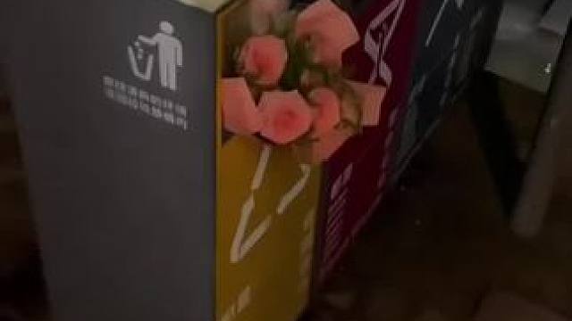 你的捡垃圾搭子找好了嘛，准备好开宝箱了吗#垃圾堆捡花 #520的垃圾桶 #520花束 #垃圾桶成为浪
