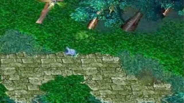 （三）大熊臻享版，地穴编织者