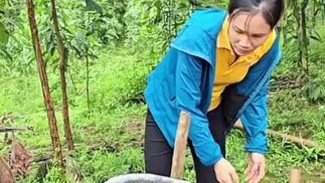 阿萍免费搬了一套石磨回家，还到山里摘了不要钱的木瓜 #野外生存 #国外生活 #单亲妈妈