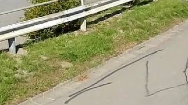 在一处回头弯道，拉力赛的魅力被淋漓尽致地展现，每一辆入弯都堪称完美#wrc拉力赛