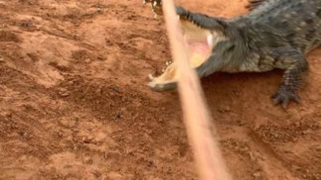 木头棒子打的还是挺痛的…