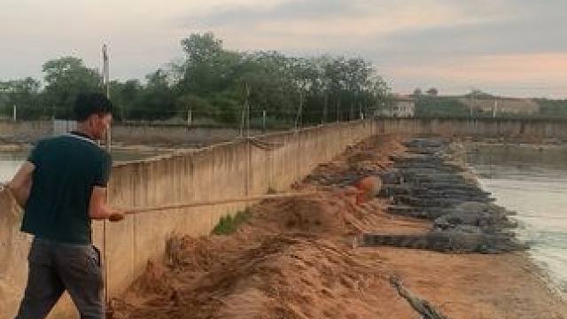 不跑非要挨一铁锹才舒服