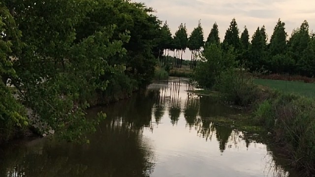 我发布了一个新视频，快来围观吧！