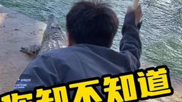 你知不知道什么是啵啵啵 #鳄鱼 #鳄鱼养殖场 #鳄珍 #养殖基地