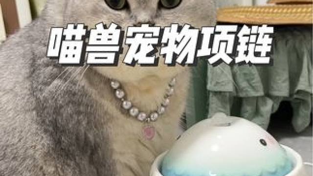 阿B 你今天真好看 