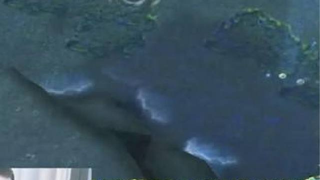 （二）大熊臻享版，4个振奋宝石，攻速拉满的小