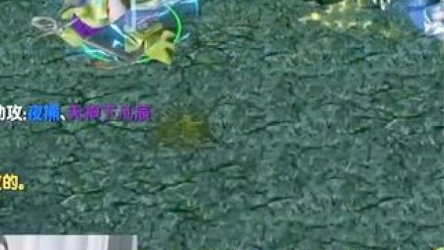 （二）大熊臻享版，狂战斧潮汐猎人