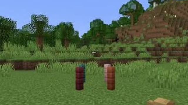 我发布了一个新视频，快来围观吧！