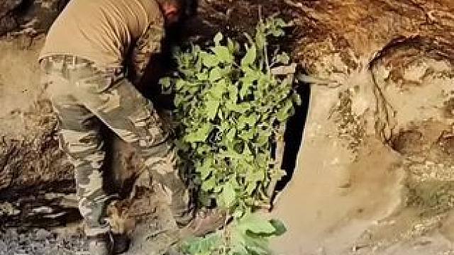 我发布了一个新视频，快来围观吧！