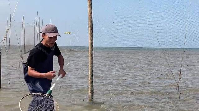 每天户外赶海日常