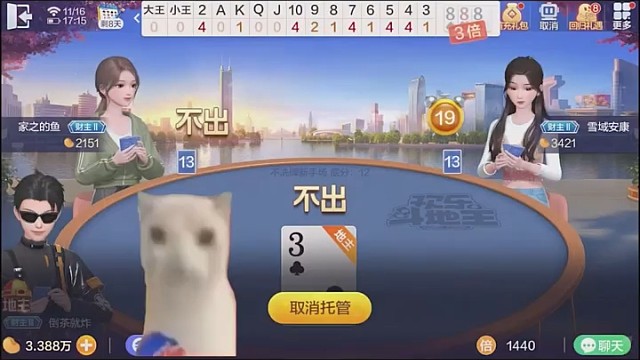 当我剩下最后一张牌时