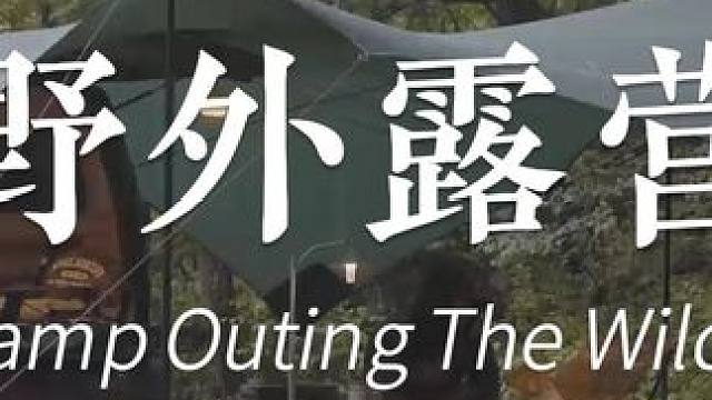 与我的狗在大雨中独自露营 #露营 #小狗狗