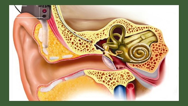 快来学习中医知识吧！