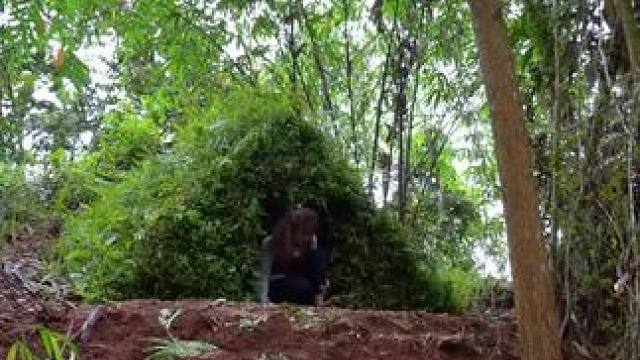 #大山深处自然美山清水秀好风光 #户外有风险出行需谨慎 #这才是真正的游山玩水 #野外生存 #解压视