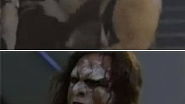 猛男VS猛兽！盘点WWE节目中动物袭击摔角手的名场面！ #WWE #摔角