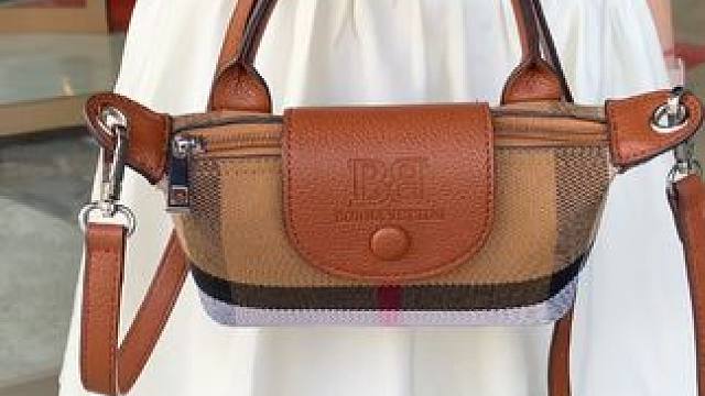 时髦精必入款!高档饺子斜挎包 这个价真的太值太值了!强烈推荐#包包控  #饺子包 ，#斜挎包