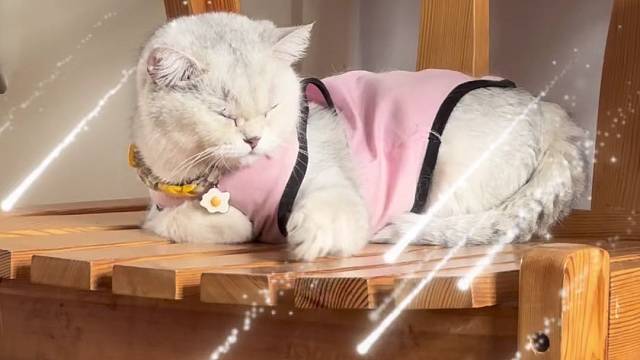 今天的床稍微有点硬啊～