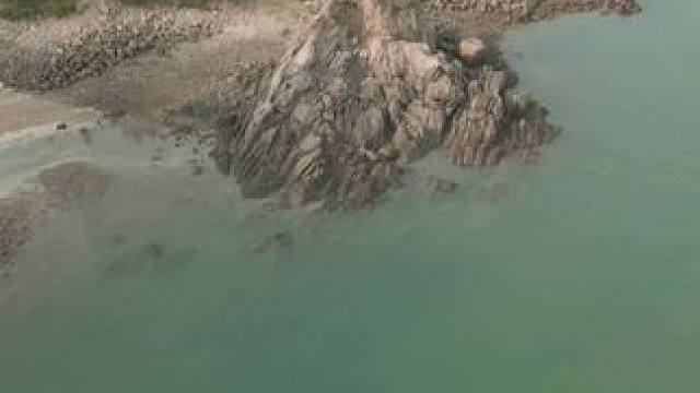 五辆车的露营趴 #露营报告