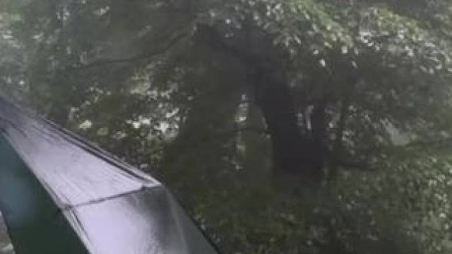 雨中露营 #露营报告